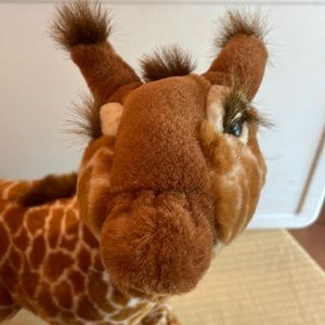 Giraffe Discovery Channel